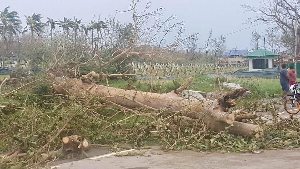 LDS Charities help Filipino Residents who are Affected by Super Typhoon Lawin