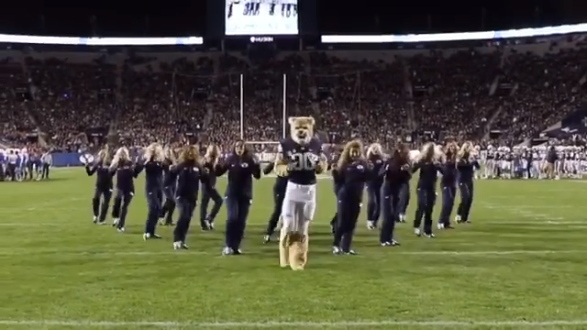 BYU’s Cosmo the Cougar Went Viral After Dancing with Cougarette at a Football Game