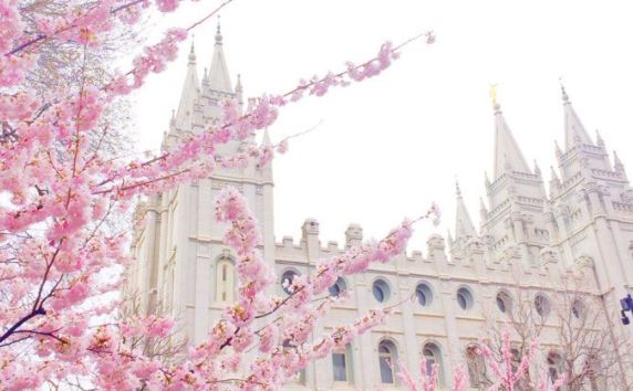 Temple Square is a popular tourist destination for cherry blossom in spring